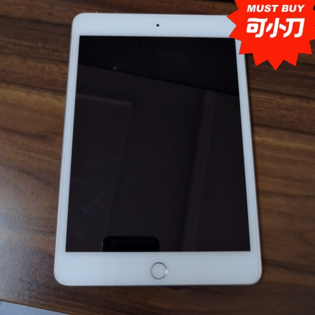 95成新 苹果 iPad mini5 (2...