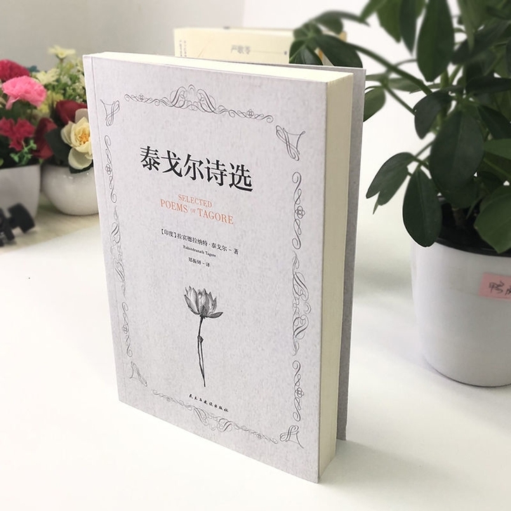 泰戈尔诗选 中英文对照双语新月集飞鸟集泰戈...