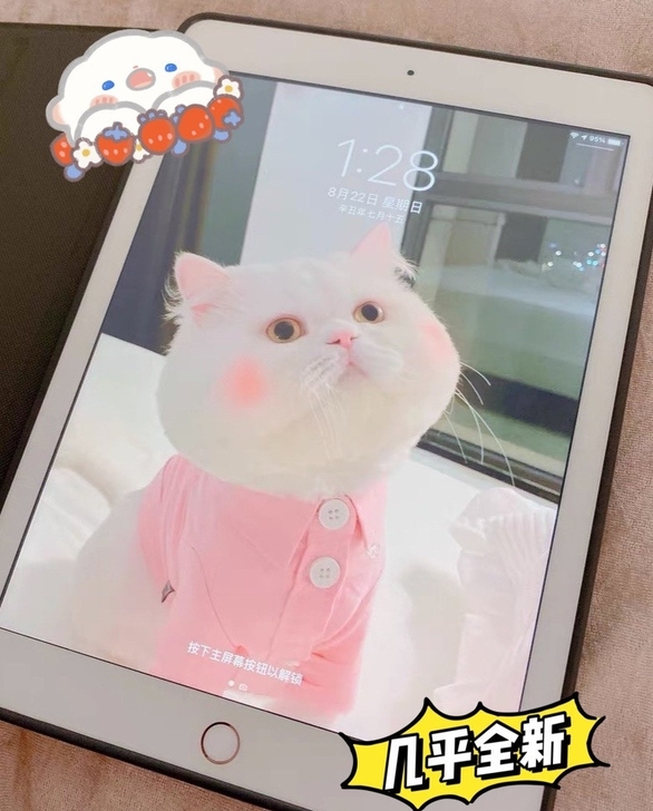 自用95新iPad闲置）iPad2020款...