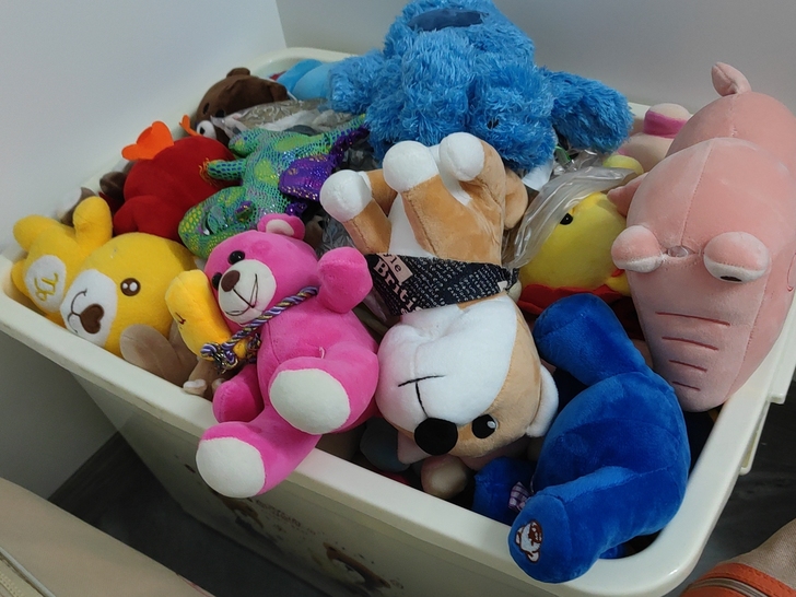 一箱娃娃任意挑选 10-40一个