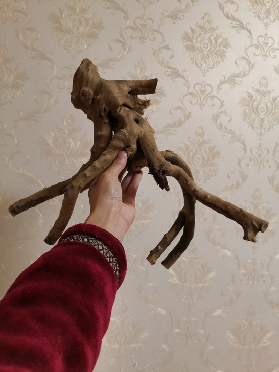 【雪狼】原生态摆件手把件木雕手把件工艺品家...