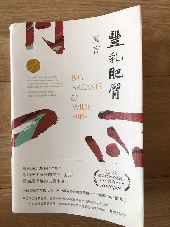 莫言长篇小说,故事年代跨度大,情节跌宕起伏...