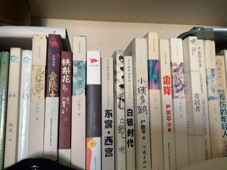 个人出严歌苓作品集，全新每本15元。还有各...