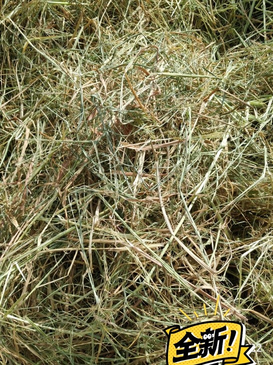 天然稻草干稻草鸡窝草 宠物魔王松鼠荷兰猪元...