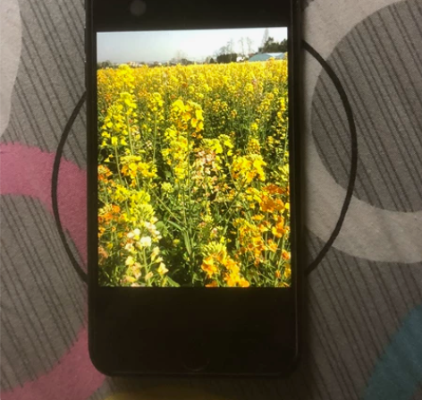 女孩子一手9成新苹果8plus  64G ...