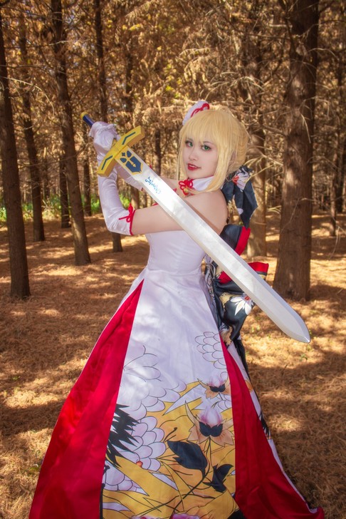 fgo绝色漫家saber阿尔托莉雅仙鹤 L...