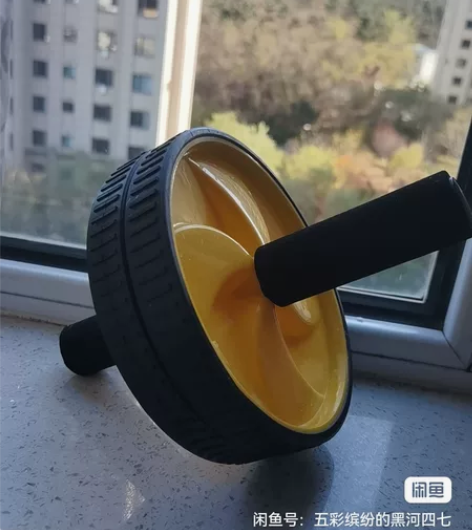 健腹轮，买了基本没用，几乎全新。计划赶不上...