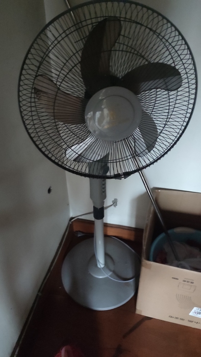 只支持自提,或者货拉拉自取