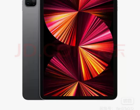 Apple/苹果 iPad Pro 11英...