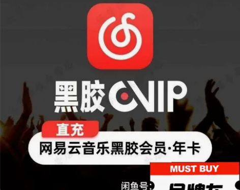 网易云音乐黑胶会员一年12个月365天vi...
