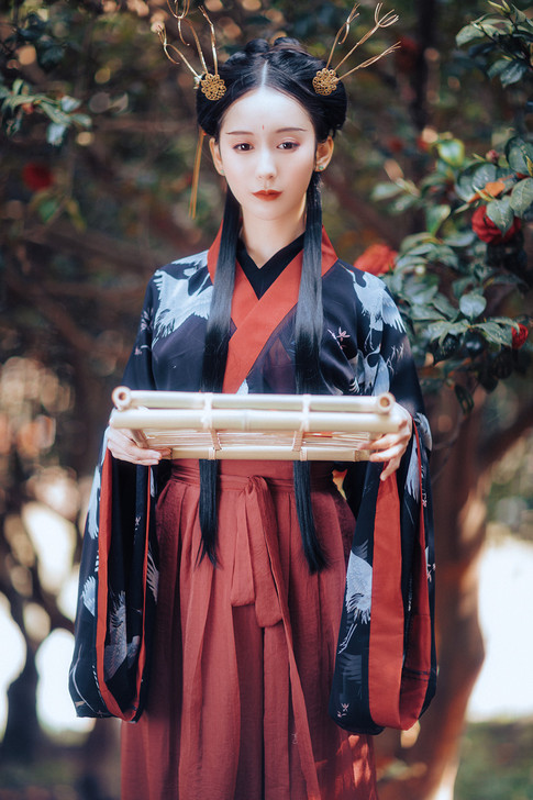 兰若庭 汉服 二重衣 大袖 魏晋风 交领