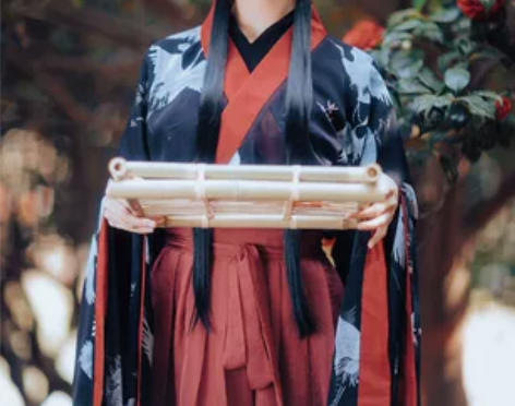 ?兰若庭 汉服 二重衣 大袖 魏晋风 交领...