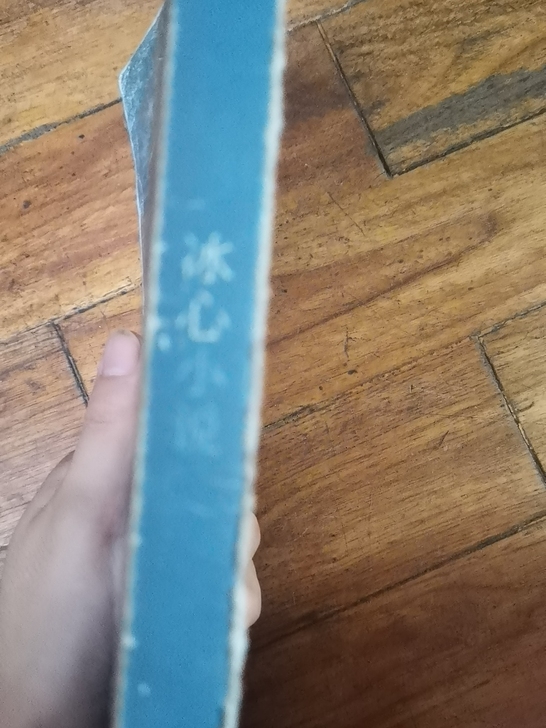 冰心小说没有封面了但是里面挺好的