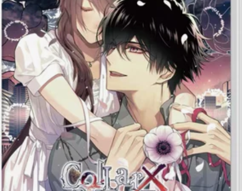 现货 NS Switch  Collar ...