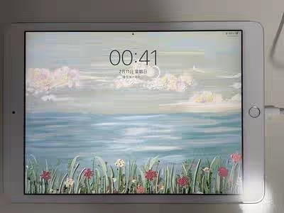 【平板促销】12G+512G平板电脑10/...