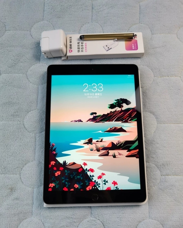 便宜卖了 iPad2020 256g 公司...