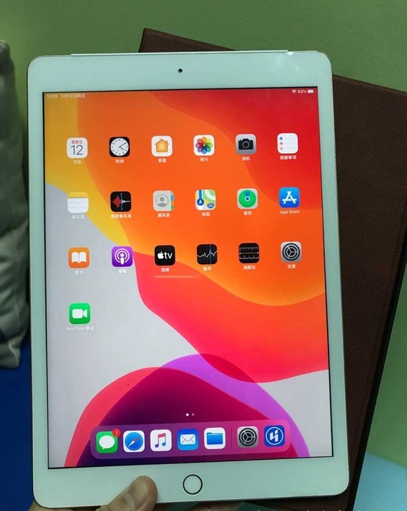 插卡版iPad10.2寸   2019款金...