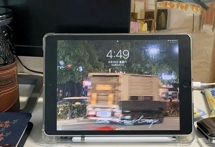 自用个人苹果ipad 2019款 128g...