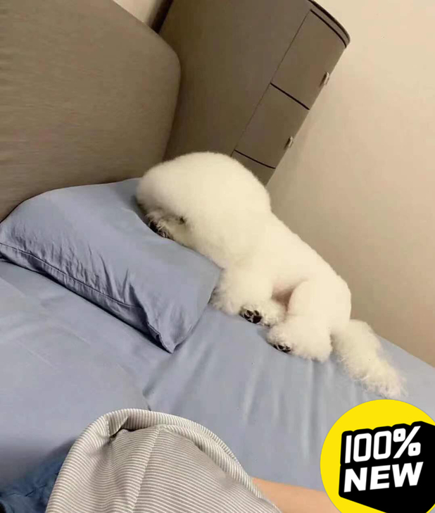 数学解答