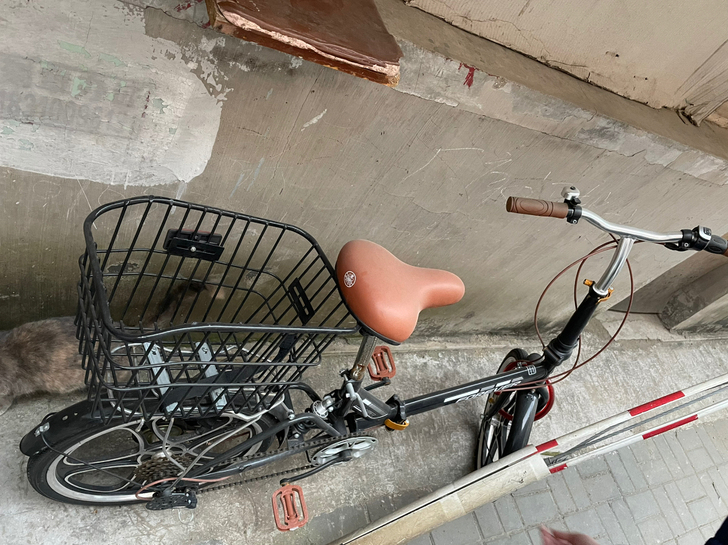 永久折叠自行车