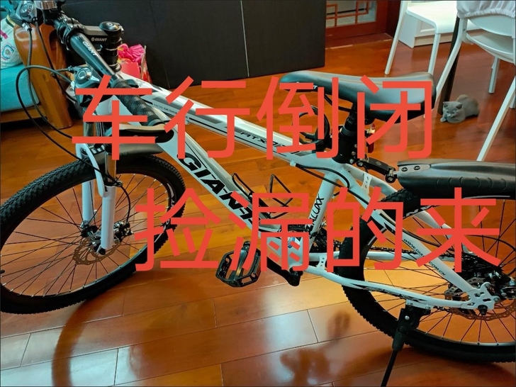 【最后12辆】捷安特GIANT777系列自...