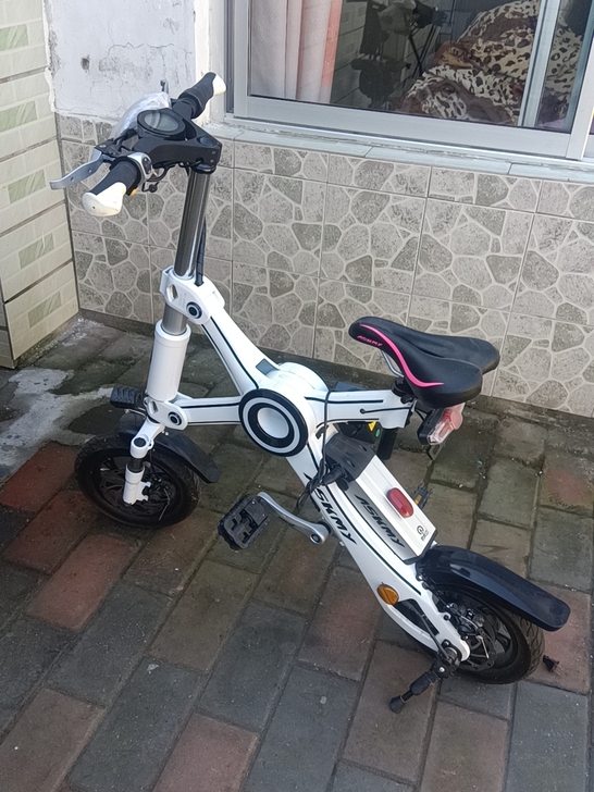 全钢电动车