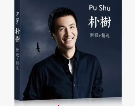 朴树cd专辑精选平凡之路无损音质民谣汽车载...