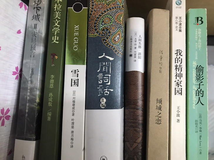 很多文学类小说便宜出售，书太多不方便带回家...