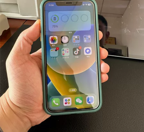 国行iphonex，18年实体店购买，有盒...