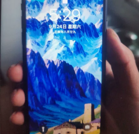 iPhonex 64G 面容一秒解 电池1...