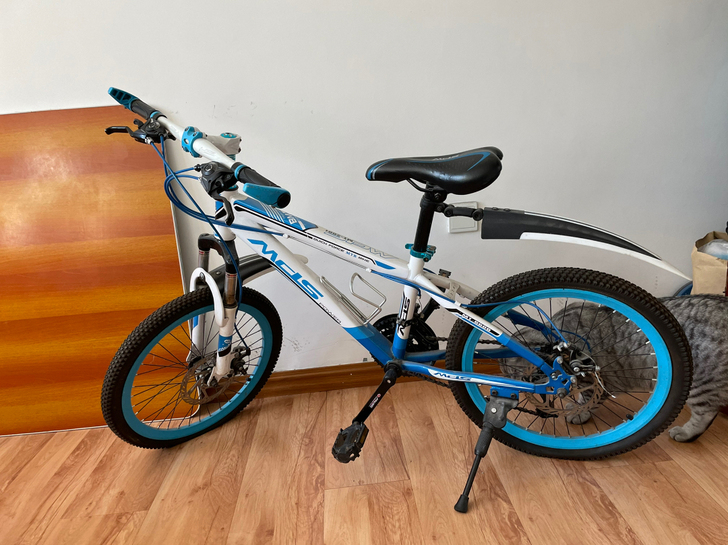 二十二寸自行车  适合十岁以下孩子骑   ...