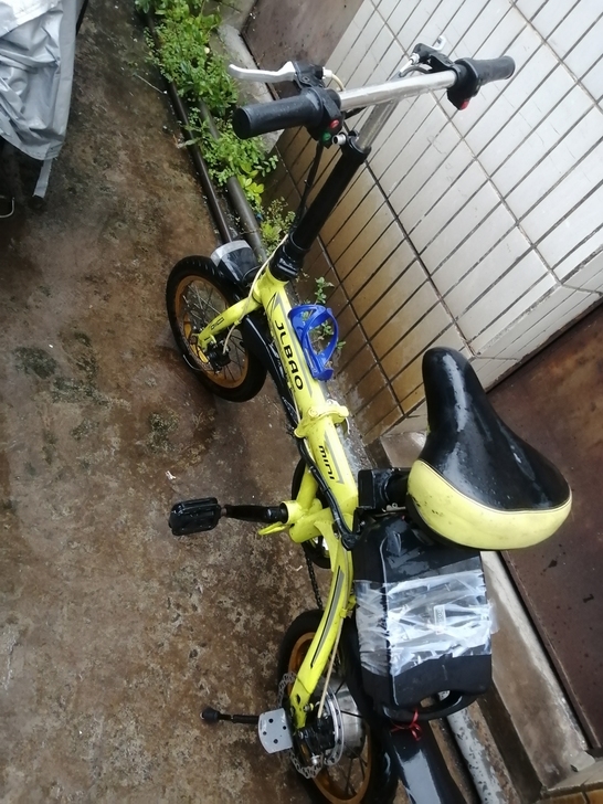 电动车，48伏，不还价，好的但不知道行多少...