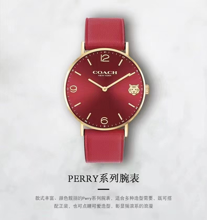 COACH蔻驰女士手表蔻驰腕表