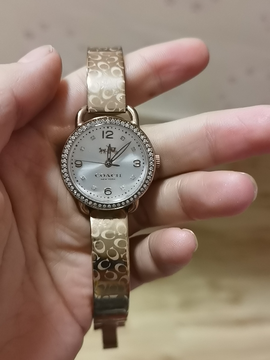 蔻驰女表，去年在北京奥莱2199买的，没带...
