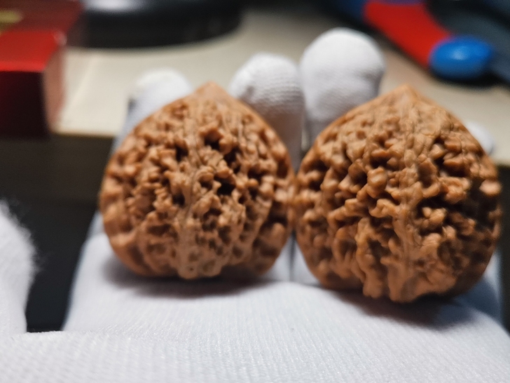 野生流星雨狮子头, 野生果,小众品种,市场...