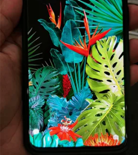 OPPO旗舰手机！电池耐用，高清2k屏幕，...