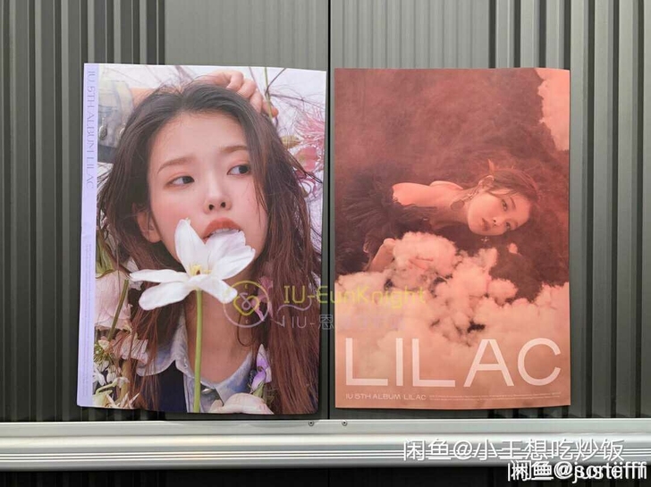 出iu专辑海报康康我吧