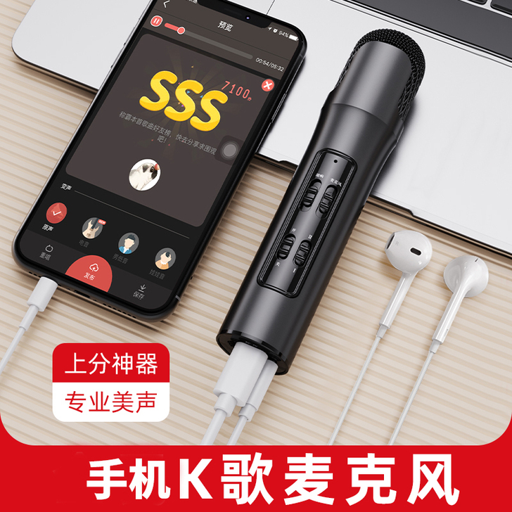 菲尼泰 麦克风