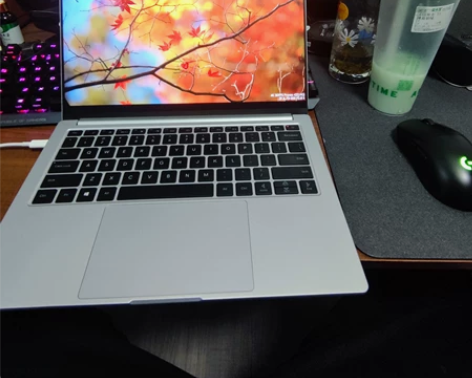 闲置笔记本-机械革命F1 核显版本 硬件配...