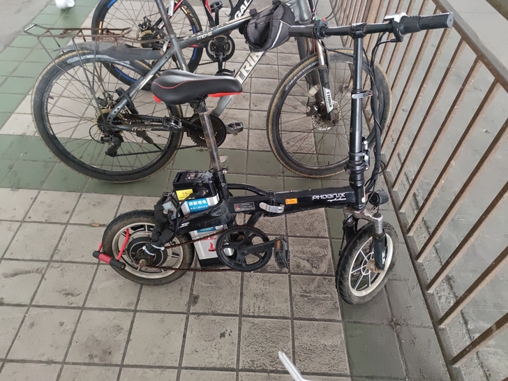 48V凤凰折叠电动车