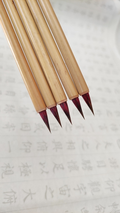 5支29.8元小红毛小楷合拍 ，10支送一...