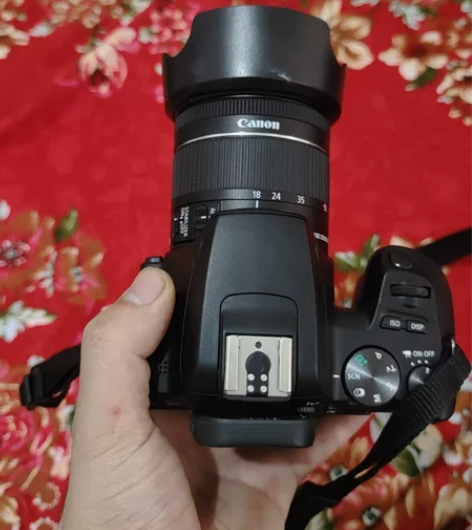 佳能（Canon） EOS 200DII ...