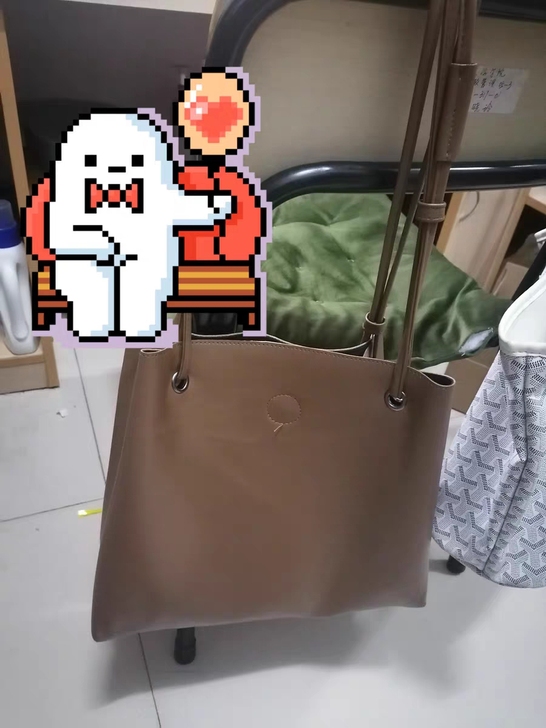 女包  买了背了一次 没有衣服配 图一是无...