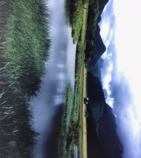 玛米亚 50 4.5 50mm F4.5镜...