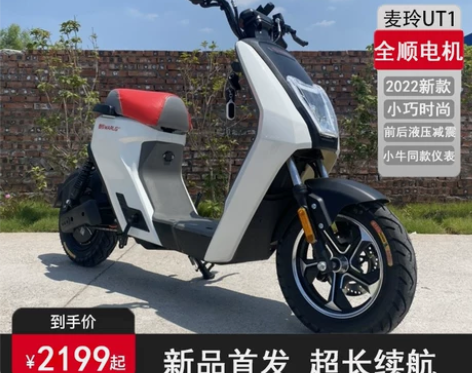 电动车 麦铃U-T1新国标电动自行车长跑王...