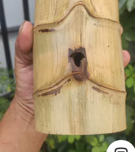 异形竹料高温蒸煮很漂亮，高20公分口径9公...