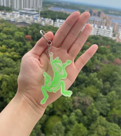 低价转让，始  祖  鸟夜光钥匙扣 朋友送...