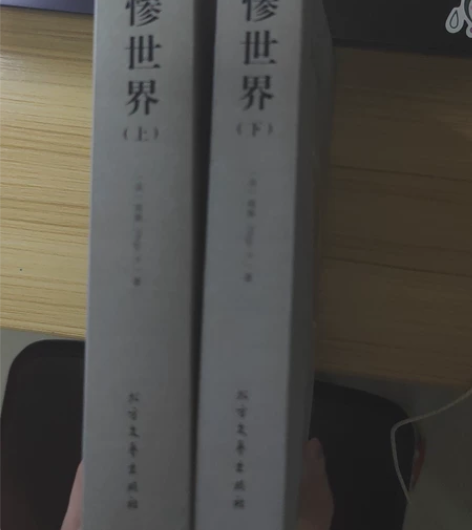 悲惨世界全集 除了一开始这一页有点泛黄，内...