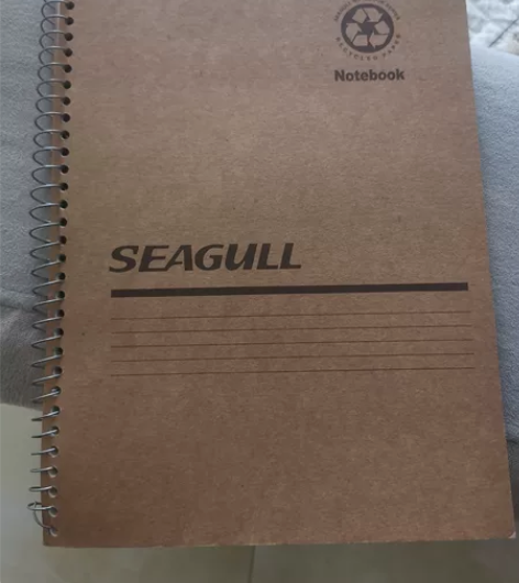 大剑笔记本 感兴趣的话点“我想要”和我私聊...