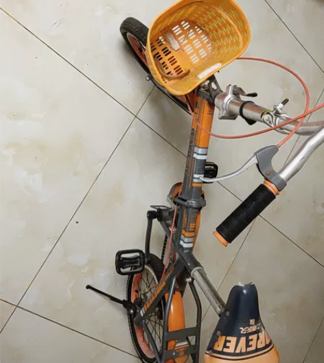 上海永久折叠自行车,铝合金轮,轮胎花纹非常...